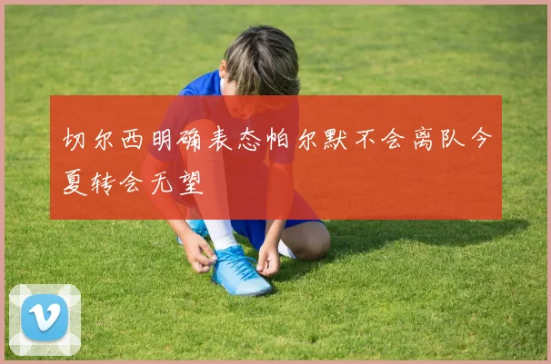 切尔西明确表态帕尔默不会离队今夏转会无望